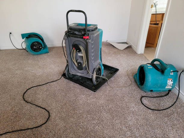 Best Water damage restoration cost  in Missouri City, TX