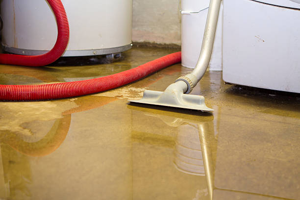 Best Mold removal after water damage  in Missouri City, TX